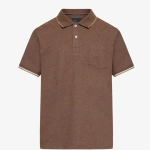 Signal NalleSI Polo Brun